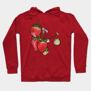 Strawberries Hoodie